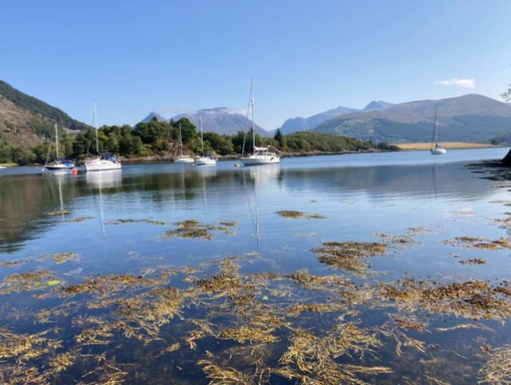 The Fox'S Den, Luxury Cosy Mini Lodge, Highlands ノース・バラチュリッシュ エクステリア 写真